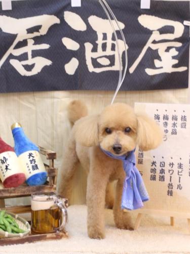 20240604のえるくん